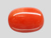 Natural Italian Red Coral (Moonga) oval cabochon, report no. 13487D55345