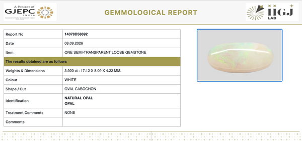 IIGJ Certificate 14078D58692