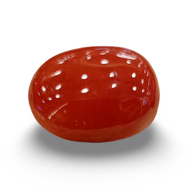 Natural Red Coral | Certified | Oval Cut Gemstone Summary No. IGCDKBAJ57886 image 0