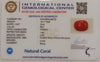 NaturalRed Coral | Certified| Oval CutGemstone Summary No. IGCDKBAJ48753 image 2