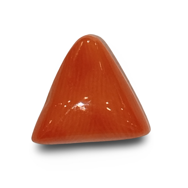 Natural Italian Red Coral (Moonga) triangular cabochon, untreated, certified IGCDKBAJ42416
