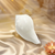Jai Natural Shankh (Conch)