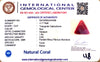 Natural Italian Red Coral | Certified Triangular Cabochon | Untreated Summary No. IGCDKBAJ42439 image 1