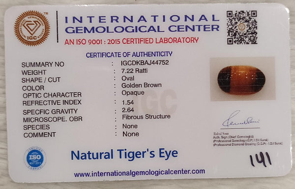 Tiger Eye The Essence of Grounding and Strength Summary No IGCDKBAJ44752 image 2