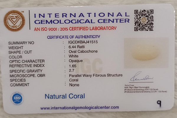 Natural White Coral: The Symbol of Peace and Strength Summary No IGCDKBAJ41515 image 2