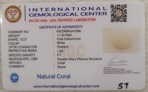 Natural White Coral: The Symbol of Peace and Strength Summary No IGCDKBAJ41508 image 2