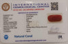 Natural Red Coral | Certified |Capsule Cut Gemstone Summary No. IGCDKBAJ44725 image 2