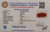 Natural Red Coral | Certified |Capsule Cut Gemstone Summary No. IGCDKBAJ44986 image 2