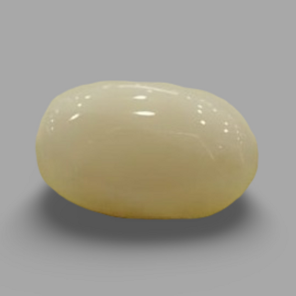 Natural White Coral (Safed Moonga) certified loose gemstone, report no. IGCDKBAJ41481