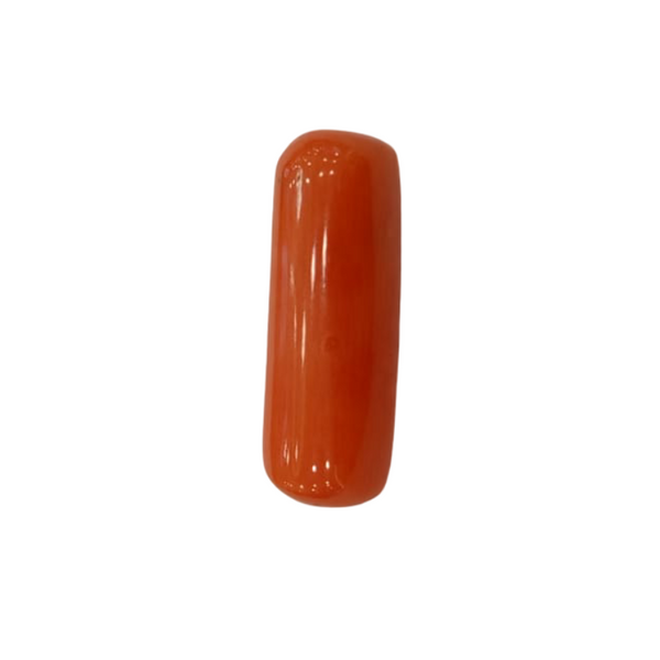 NaturalRed Coral | Certified| Capsule CutGemstone Summary No. IGCDKBAJ44953 image 1