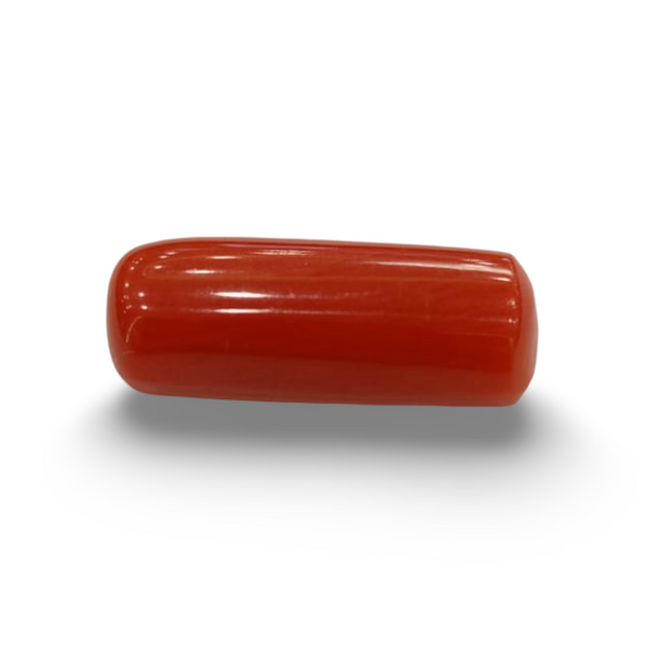 NaturalRed Coral | Certified| Capsule CutGemstone Summary No. IGCDKBAJ44922 image 0