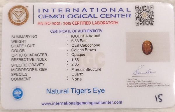 Tiger Eye The Essence of Grounding and Strength Summary No IGCDKBAJ41305 image 2