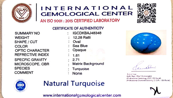 Natural Turquoise | Certified | Oval Cut | Sea BlueCertificate No.: IGCDKBAJ48348 image 2