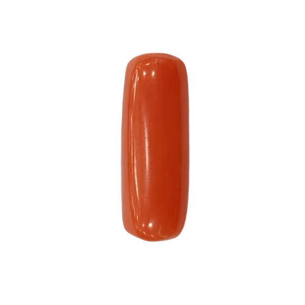 NaturalRed Coral | Certified| Capsule CutGemstone Summary No. IGCDKBAJ44924 image 1