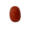 NaturalRed Coral | Certified|Capsule CutGemstone Summary No. IGCDKBAJ53527 image 1