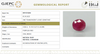 Natural Ruby | Oval Cut | Untreated | Govt. Lab Certified image 1