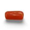 NaturalRed Coral | Certified| Capsule CutGemstone Summary No. IGCDKBAJ44917 image 0