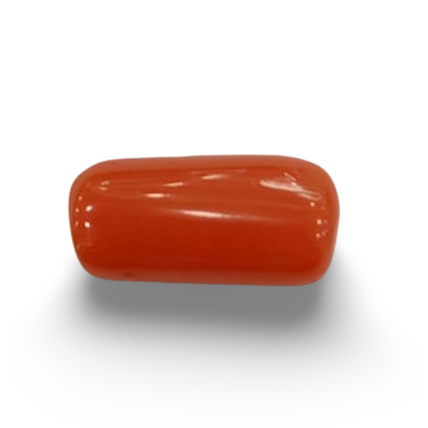 NaturalRed Coral | Certified| Capsule CutGemstone Summary No. IGCDKBAJ44917 image 0