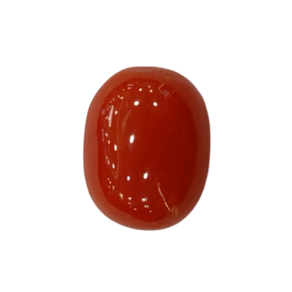 NaturalRed Coral | Certified| Oval CutGemstone Summary No. IGCDKBAJ44894 image 1