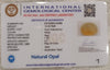 Natural White Opal 14.05 Ratti| Oval Cabochone | Certified No. IGCDKBAJ42889 image 2