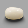 Natural White Coral (Safed Moonga) certified loose gemstone, report no. IGCDKBAJ41496