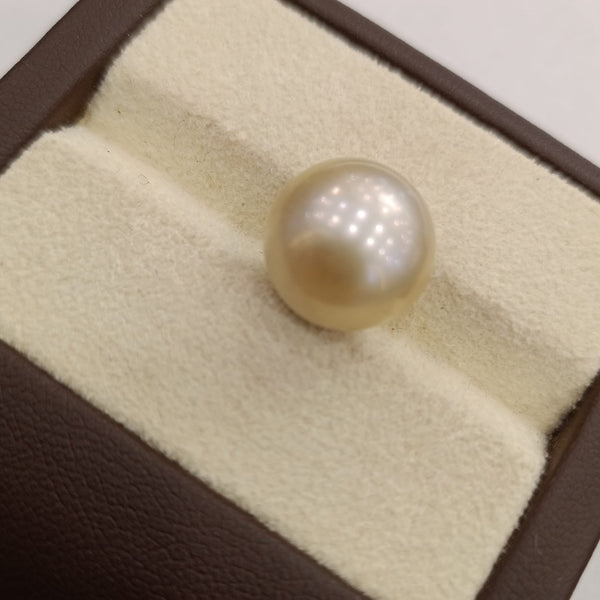 Natural South Sea Pearl – A Symbol of Elegance & Purity Summary No IGCDKBAJ42657 image 1