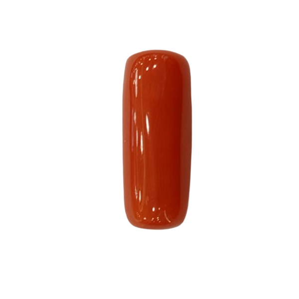 NaturalRed Coral | Certified| Oval CutGemstone Summary No. IGCDKBAJ44951 image 1