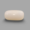 Natural White Coral (Safed Moonga) certified loose gemstone, report no. IGCDKBAJ41475