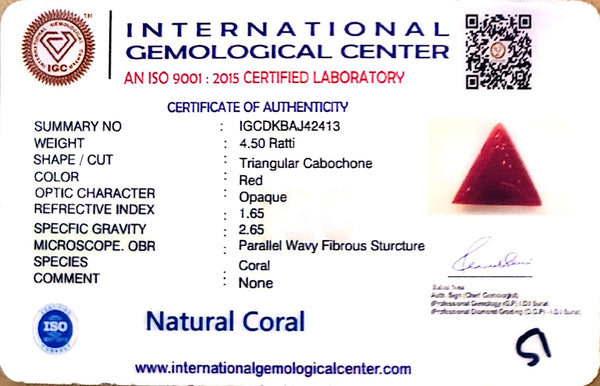 Natural Italian Red Coral | Certified Triangular Cabochon Moonga | Untreated Gemstone IGCDKBAJ42413 image 1