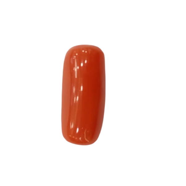 NaturalRed Coral | Certified| Capsule CutGemstone Summary No. IGCDKBAJ44866 image 1