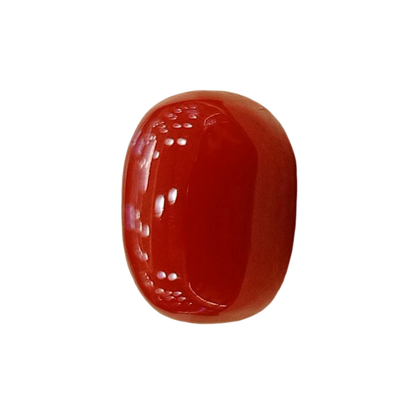 Natural Red Coral | Certified | Oval Cut Gemstone Summary No. IGCDKBAJ57879 image 1
