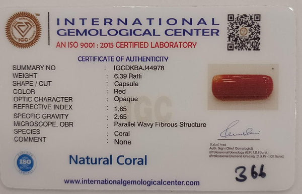 NaturalRed Coral | Certified| Capsule CutGemstone Summary No. IGCDKBAJ44978 image 2