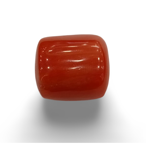 NaturalRed Coral | Certified|Capsule CutGemstone Summary No. IGCDKBAJ53526 image 0