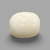 Natural White Coral (Safed Moonga) certified loose gemstone, report no. IGCDKBAJ41483