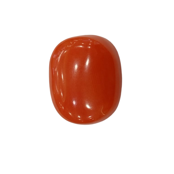 NaturalRed Coral | Certified| Oval CutGemstone Summary No. IGCDKBAJ48753 image 1