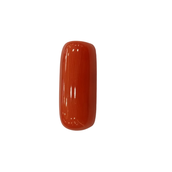 Natural Red Coral | Certified |Capsule Cut Gemstone Summary No. IGCDKBAJ44950 image 1