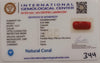 NaturalRed Coral | Certified|Capsule CutGemstone Summary No. IGCDKBAJ44957 image 2