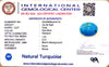 Natural Turquoise | Sea Blue | Oval | Matrix Background | IGC CertifiedCertification: IGC (IGCDKBAJ44710) image 2