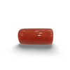 Natural Red Coral | Certified |Capsule Cut Gemstone Summary No. IGCDKBAJ44952 image 0