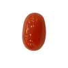 NaturalRed Coral | Certified| Oval CutGemstone Summary No. IGCDKBAJ44731 image 1