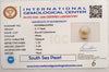 Natural South Sea Pearl – A Symbol of Elegance & Purity Summary No IGCDKBAJ54984 image 2