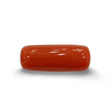 NaturalRed Coral | Certified| Oval CutGemstone Summary No. IGCDKBAJ44951 image 0
