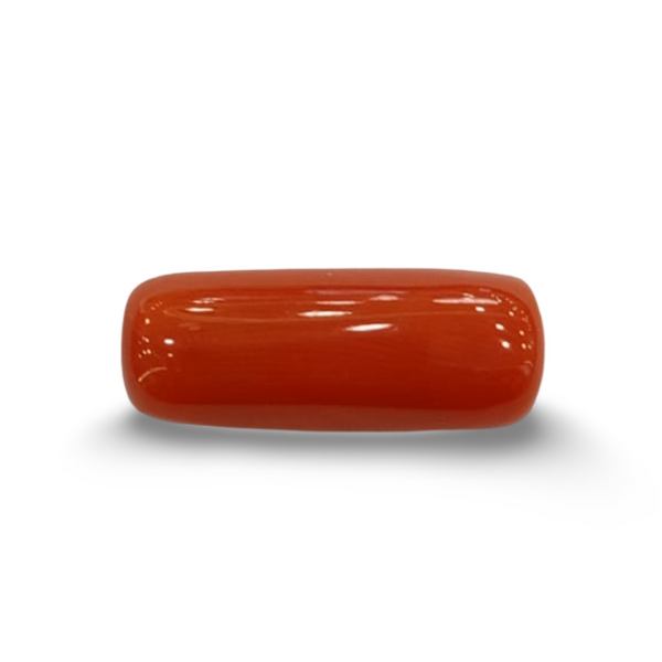 NaturalRed Coral | Certified| Oval CutGemstone Summary No. IGCDKBAJ44951 image 0