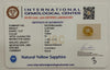 Natural Yellow Sapphire | Oval Cut | IGC Certified No.: IGCDKBAJ49493 image 2