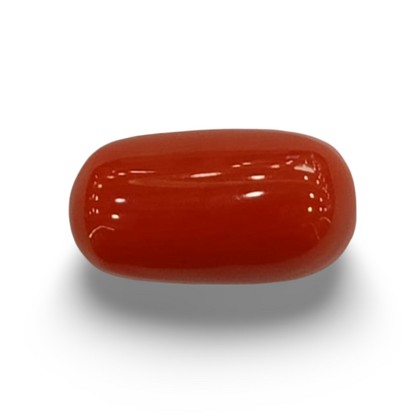 NaturalRed Coral | Certified| Oval CutGemstone Summary No. IGCDKBAJ44887 image 0