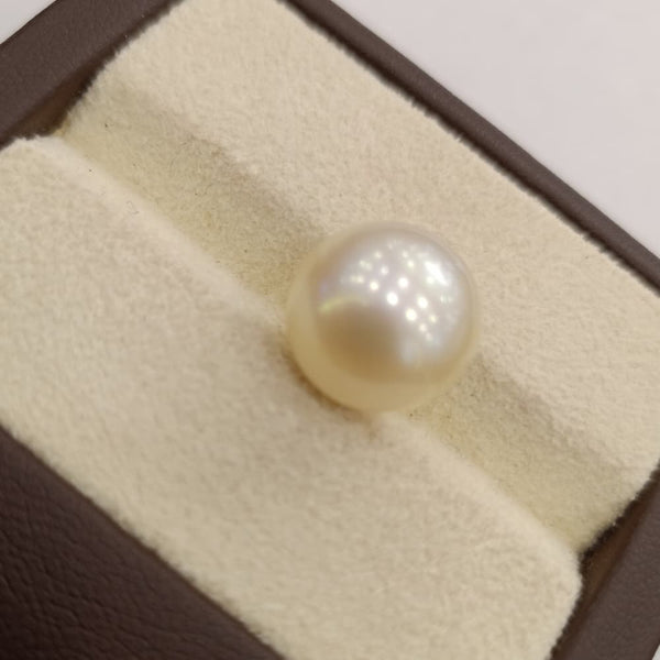 Natural South Sea Pearl – A Symbol of Elegance & Purity Summary No IGCDKBAJ42627 image 1