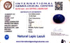 Natural Lapis Lazuli | Oval Cabochon | IGC Certified Certificate No.: IGCDKBAJ42531 image 2