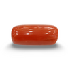 NaturalRed Coral | Certified| Capsule CutGemstone Summary No. IGCDKBAJ44966 image 0