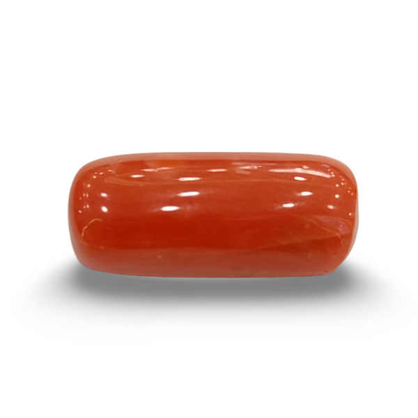 NaturalRed Coral | Certified| Capsule CutGemstone Summary No. IGCDKBAJ44966 image 0