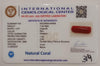 NaturalRed Coral | Certified| Capsule CutGemstone Summary No. IGCDKBAJ44926 image 2